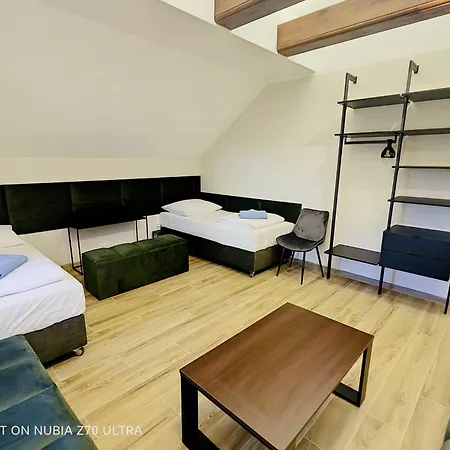 Zywiec Holidays - I - Sauna - Game - Gry Tv Play Station, Bilard, Lotki, Pilkarzyki - Sala Integracyjna - Mozliwosc Zorganizowania Przyjecia Nawet Dla 27 Osob 3*