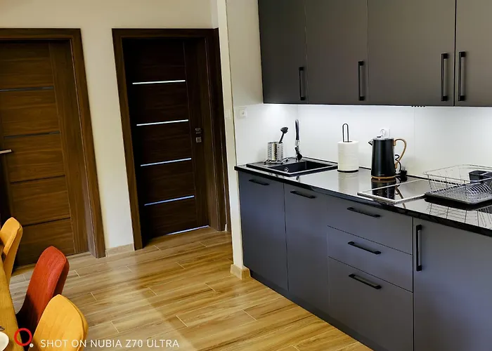 Zywiec Holidays - I - Sauna - Game - Gry Tv Play Station, Bilard, Lotki, Pilkarzyki - Sala Integracyjna - Mozliwosc Zorganizowania Przyjecia Nawet Dla 27 Osob