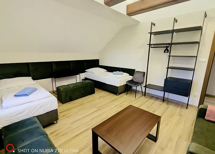 Zywiec Holidays - I - Sauna - Game - Gry Tv Play Station, Bilard, Lotki, Pilkarzyki - Sala Integracyjna - Mozliwosc Zorganizowania Przyjecia Nawet Dla 27 Osob 3*